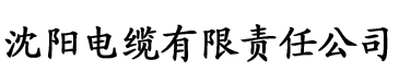 一本一道波多野结衣av无码电缆厂logo